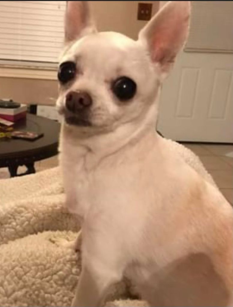 Maggie Mae Profile Photo