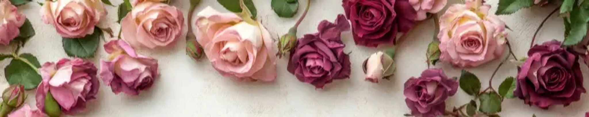 Cover for Virginia Kachelmeier's Obituary