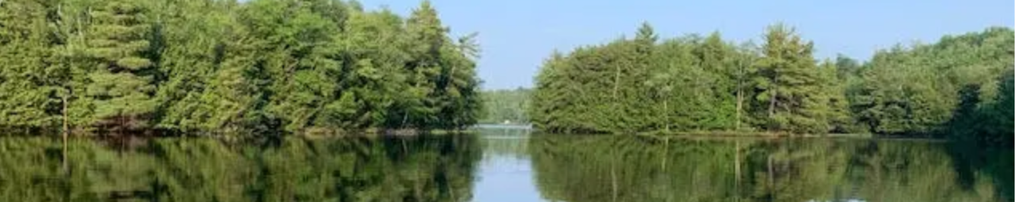 Cover for Mary Ellen Holz's Obituary