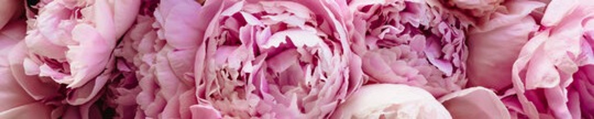 Cover for Minnie Bell Case's Obituary