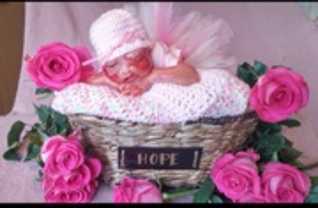 Hope Anne Hartge
