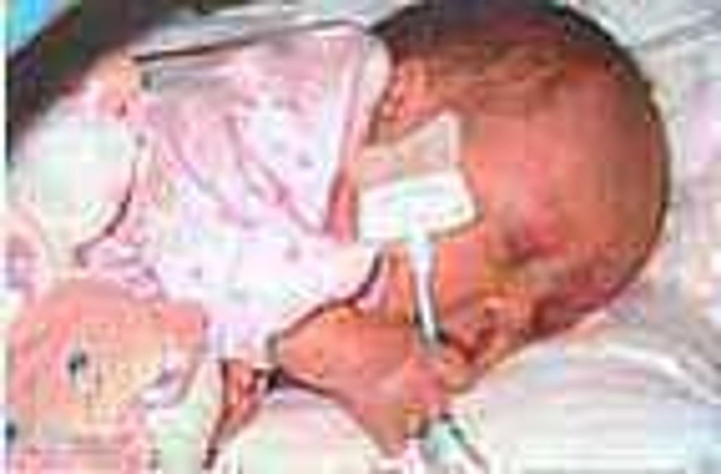 Sophia Michelle Stark