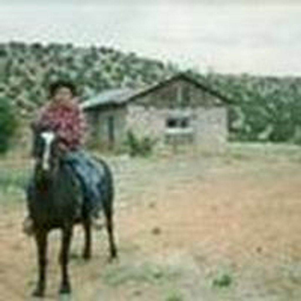 Arturo G Ortiz