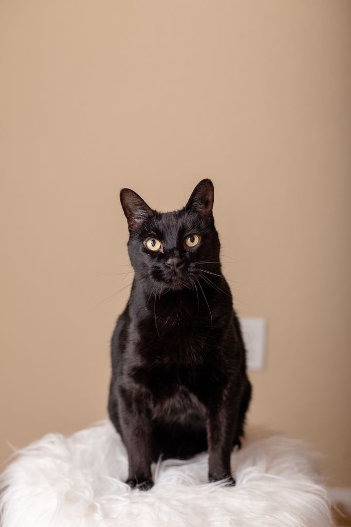 Salem Profile Photo