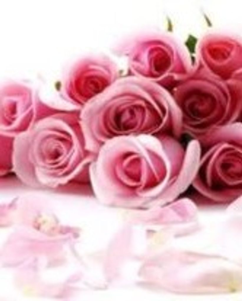 Baby Girl LEIGHTON DANIELLE SANNER Profile Photo