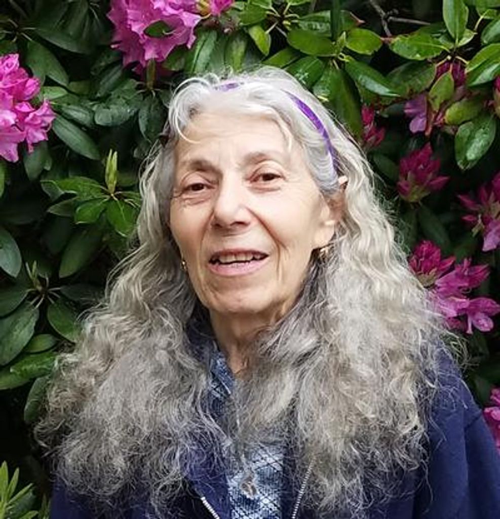 Cristiana C. Roman