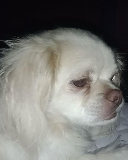 Falkor Warren's obituary image