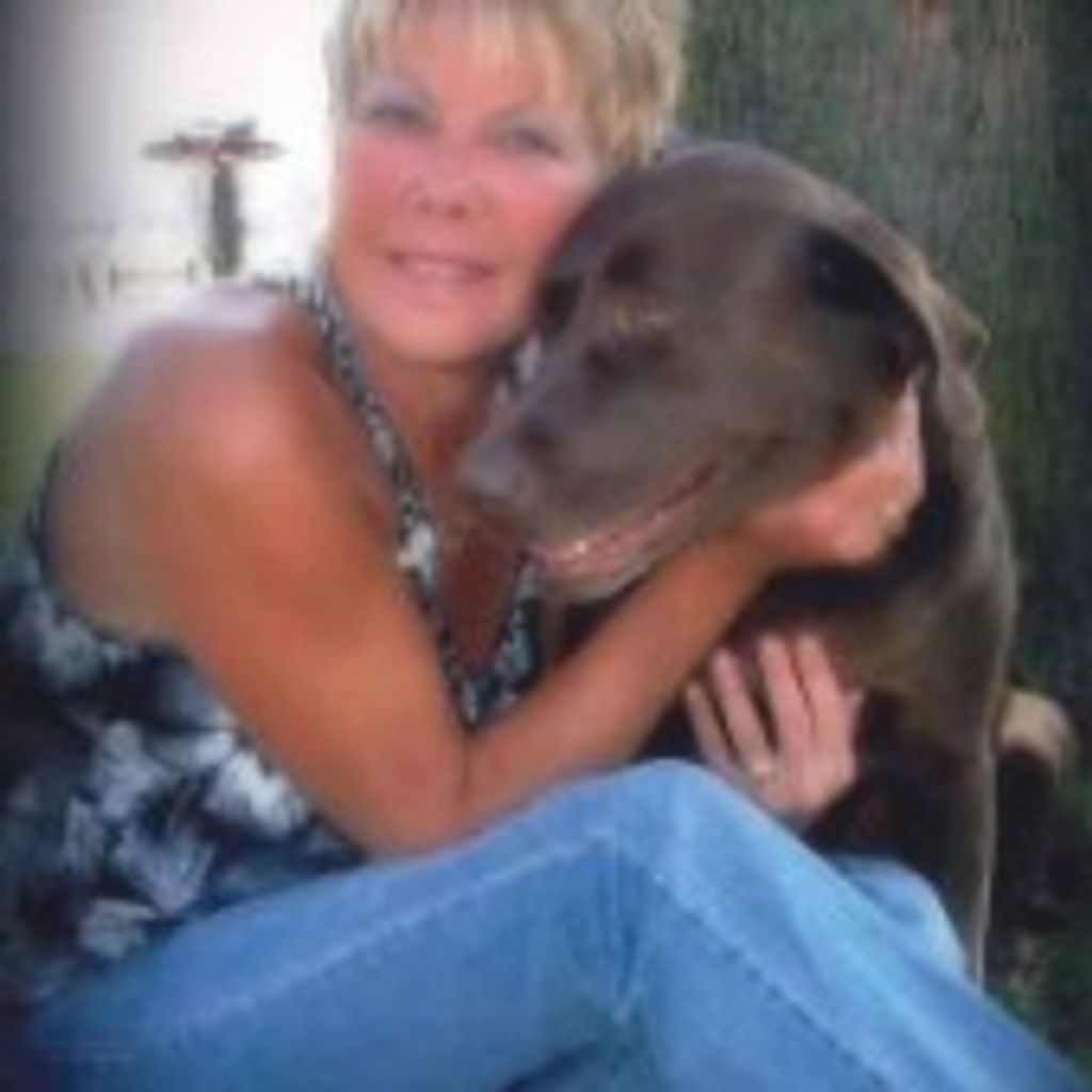 Judy Johnson Profile Photo
