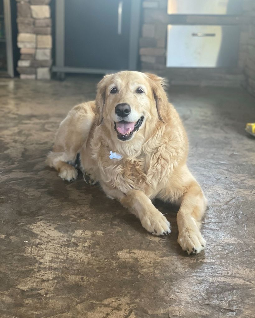 Oakley Jenkins