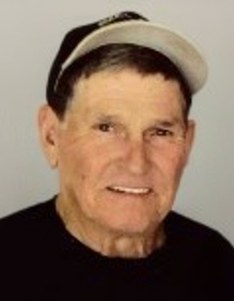 William Paul Towner