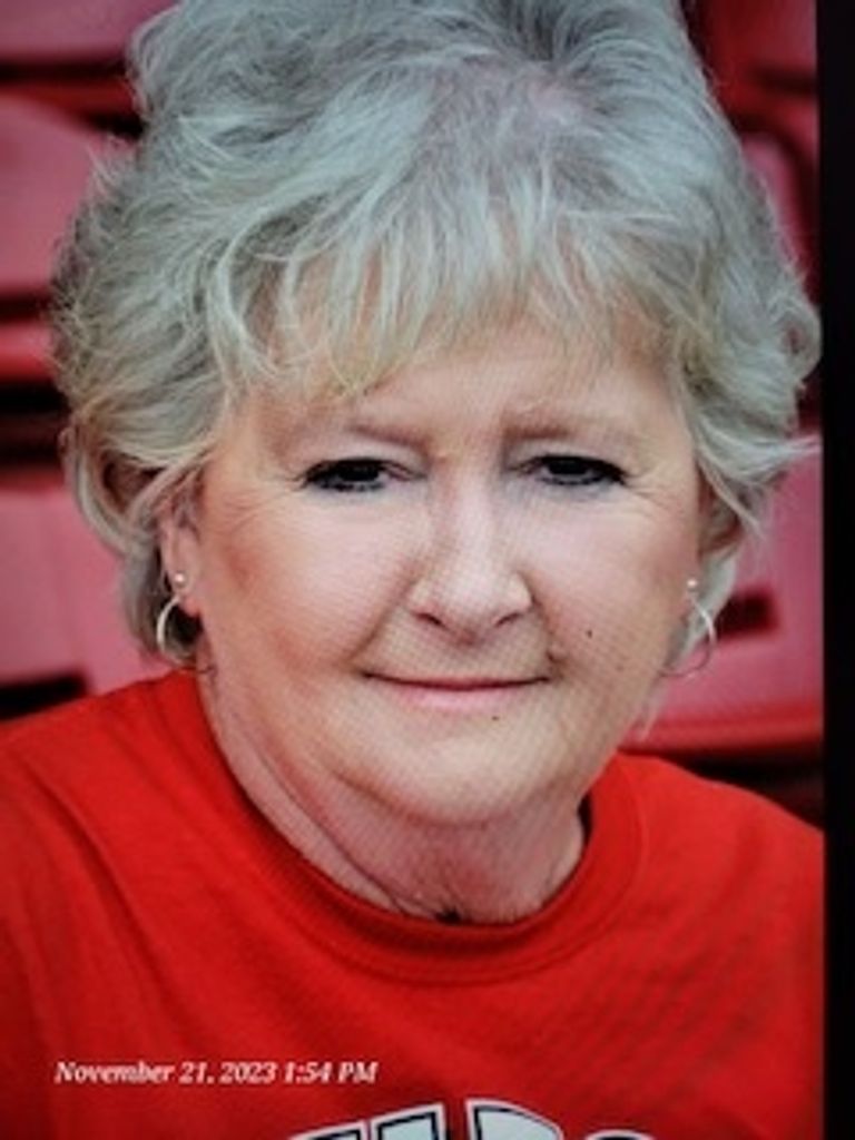 Judith Eileen (Sherrill)  Robins