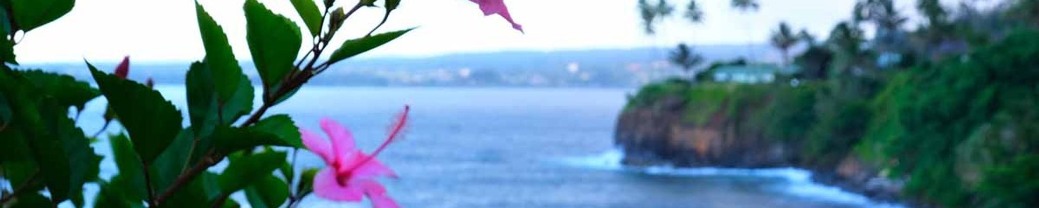 Cover for Harlan E. Kestner's Obituary