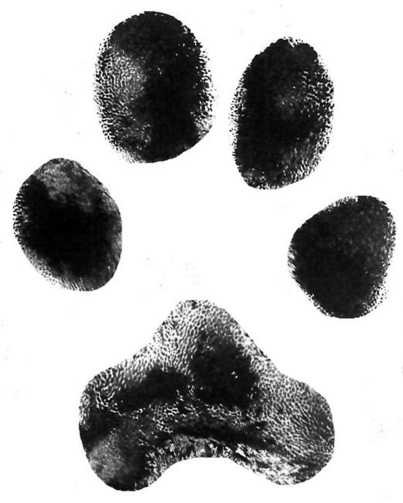 Kuma Gragg Profile Photo