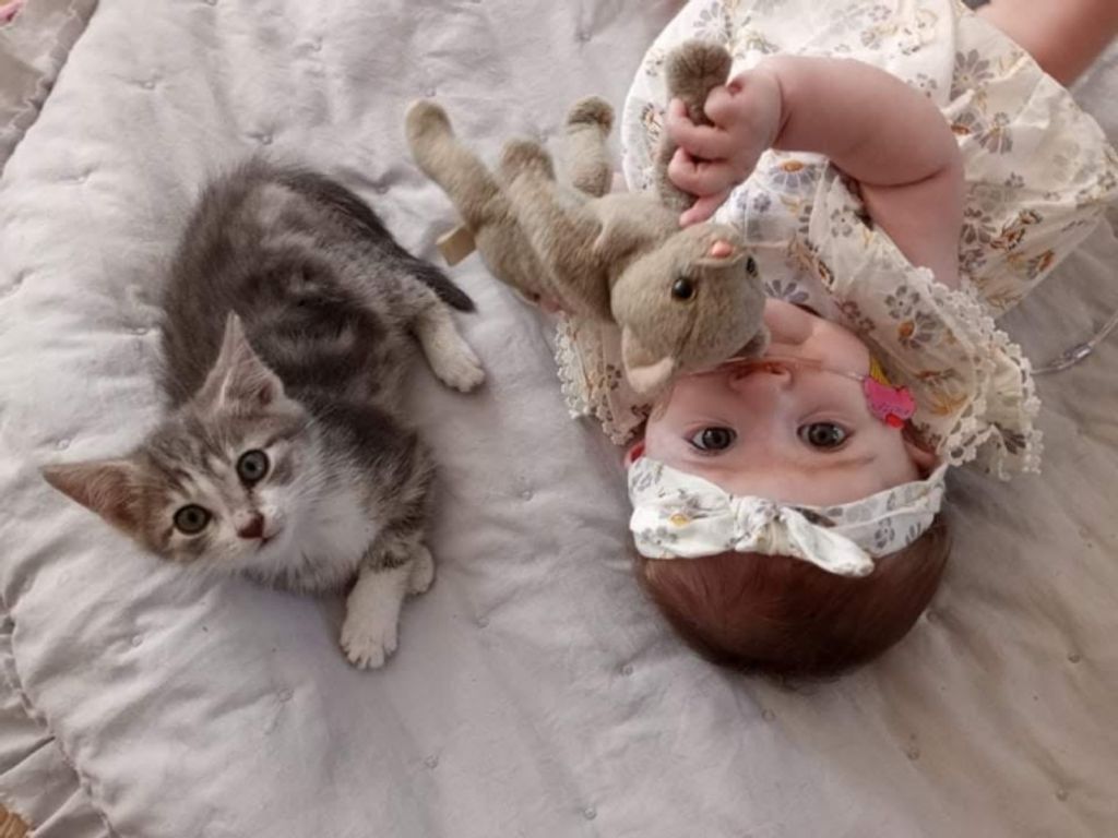 Aurora Rae Taylor