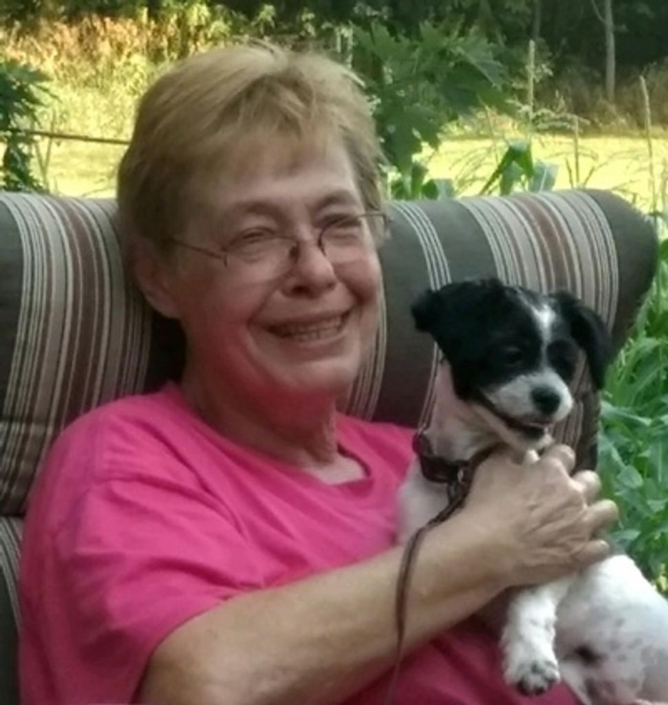 Phyllis Rothchild Profile Photo
