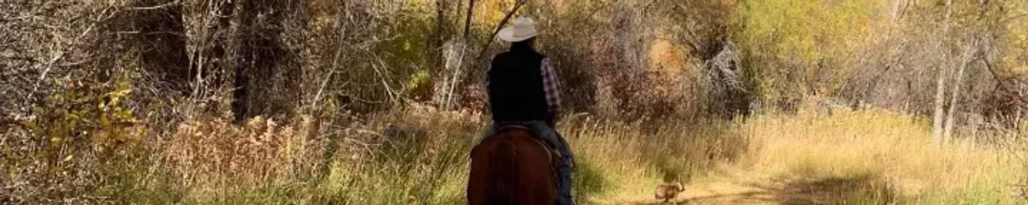 Cover for Dave Willis's Obituary