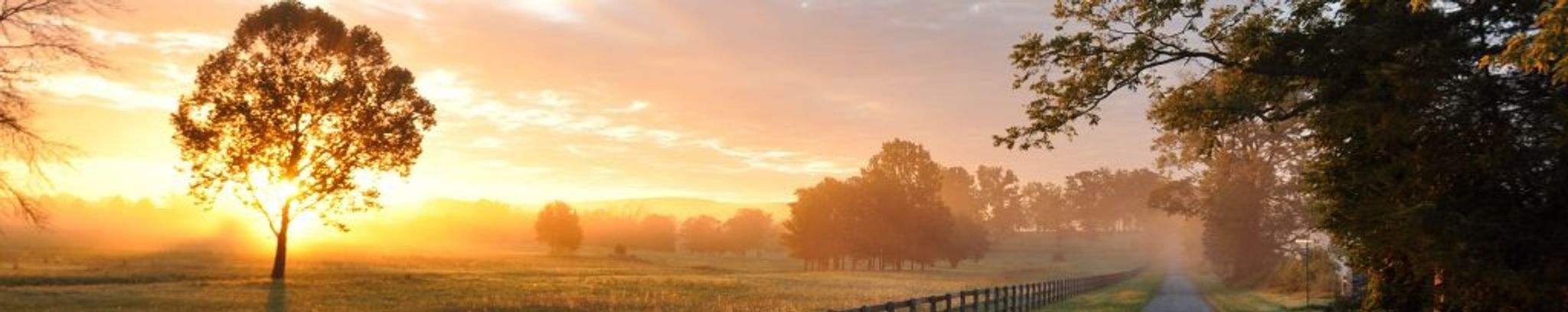 Cover for Gerald Duane Davis's Obituary