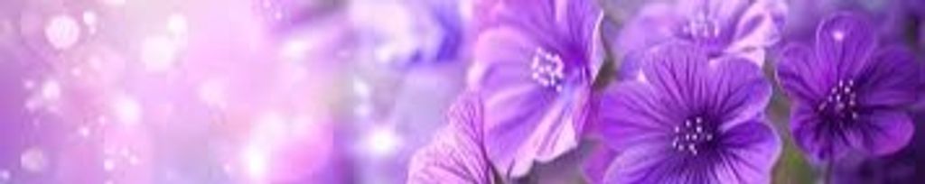 Cover photo for Christie Michele Sanders's Obituary
