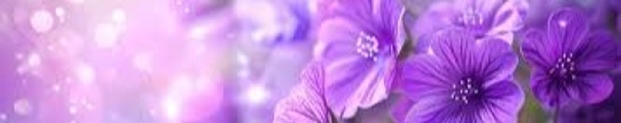 Cover for Christie Michele Sanders's Obituary