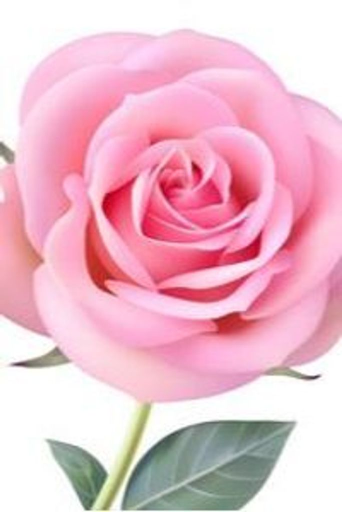 Janice Teresa Jones Profile Photo