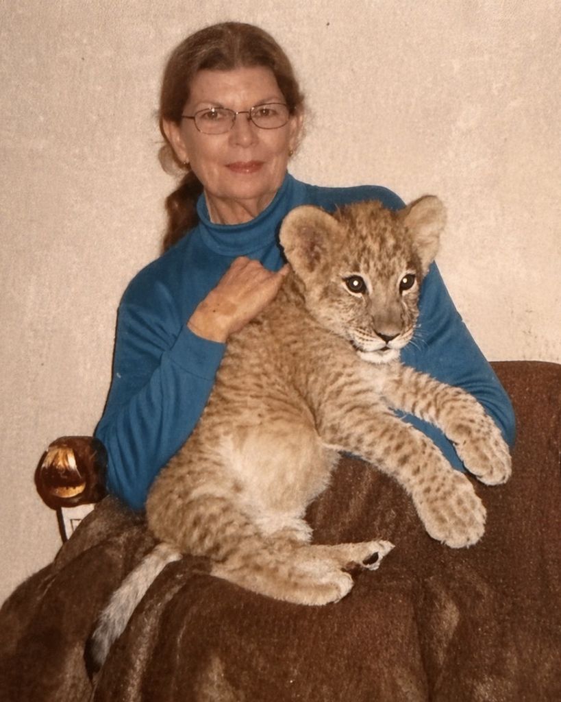 Brenda Compton DeJarnette Profile Photo