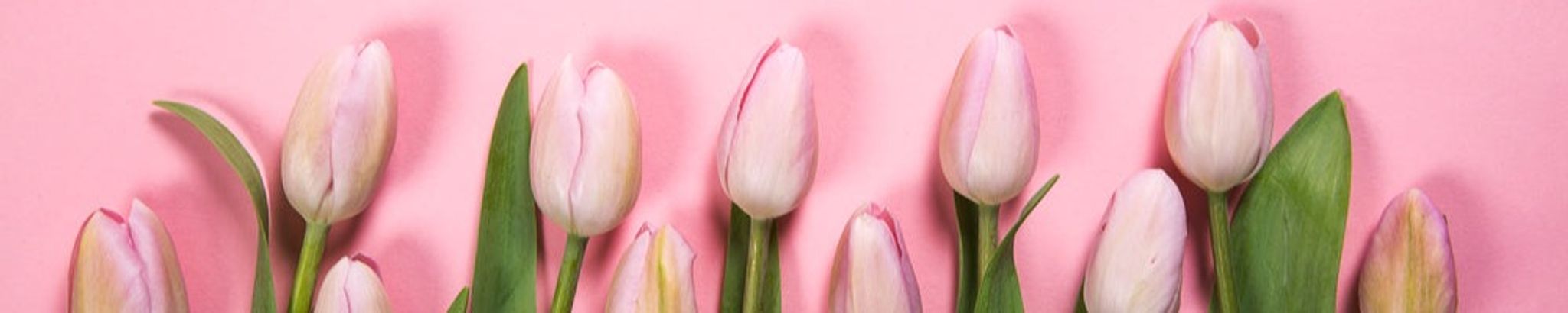 Cover photo for Mary Jean (Jeanie) Valdez Foote's Obituary