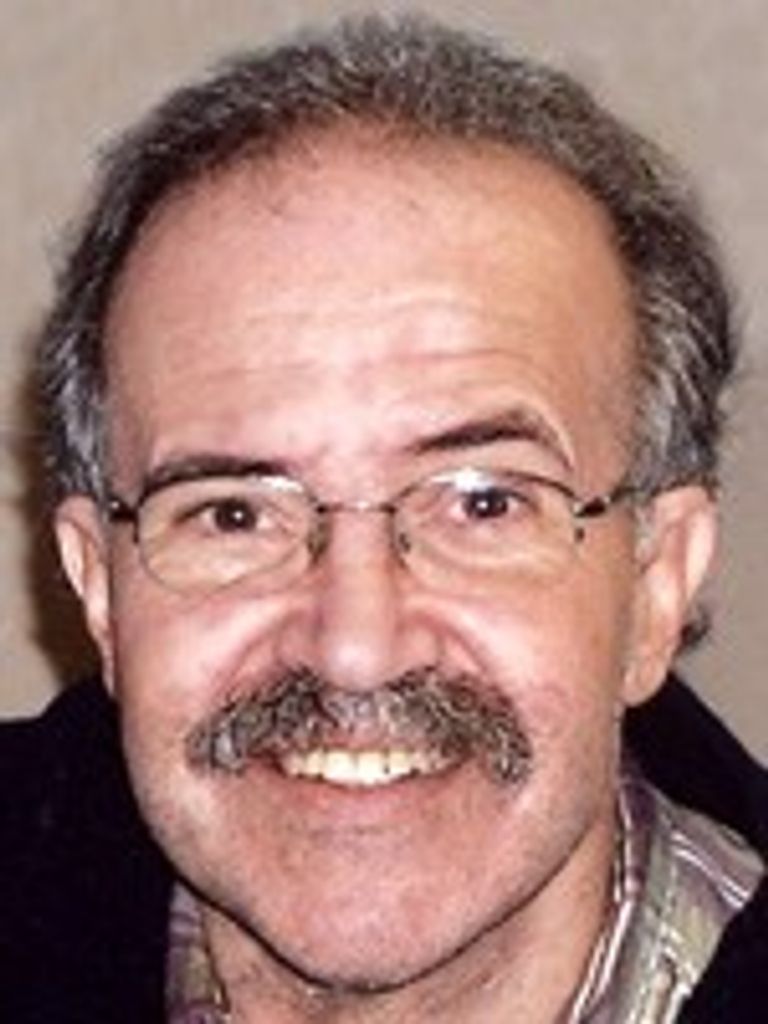 Louis S. Farabini Jr.