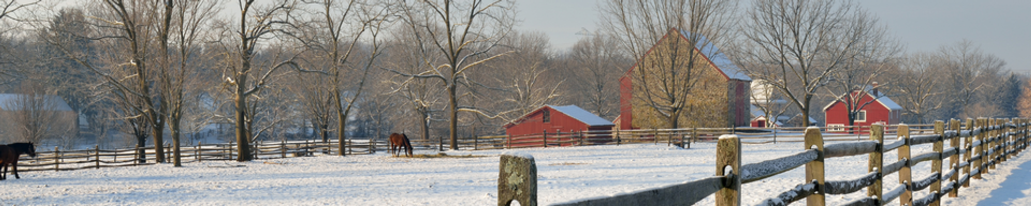 Cover for Brenda Frye's Obituary