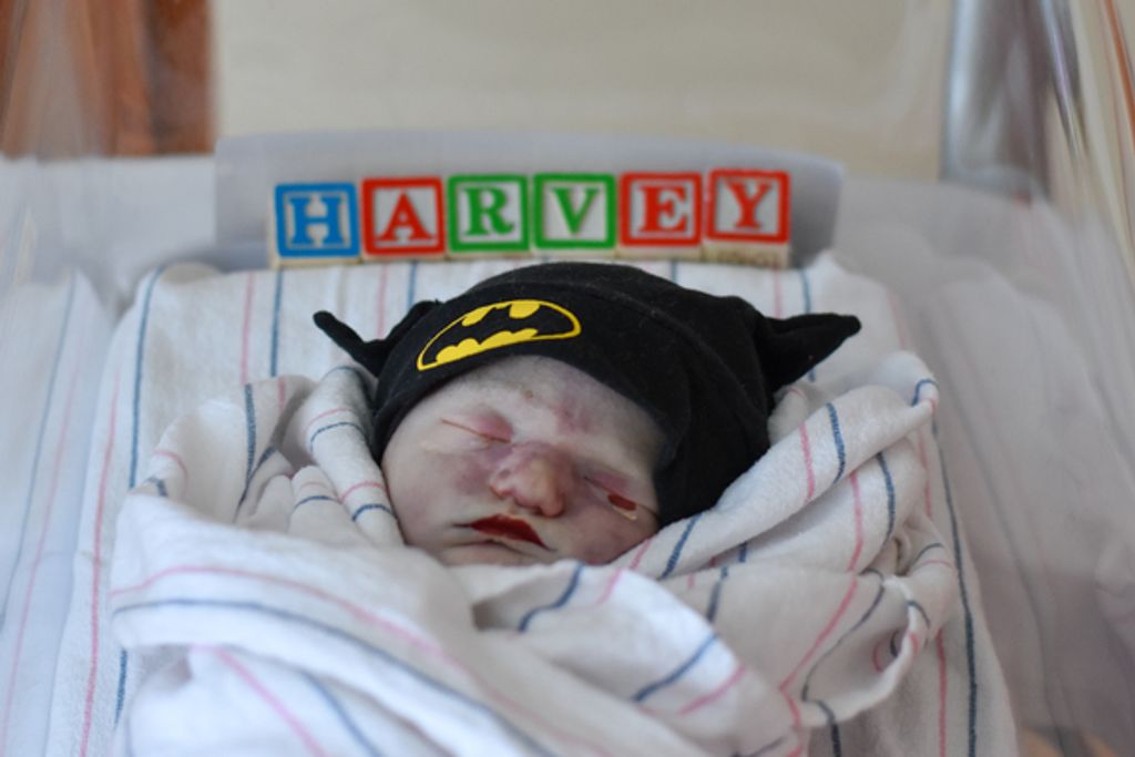 Harvey Louis Stuhr Profile Photo