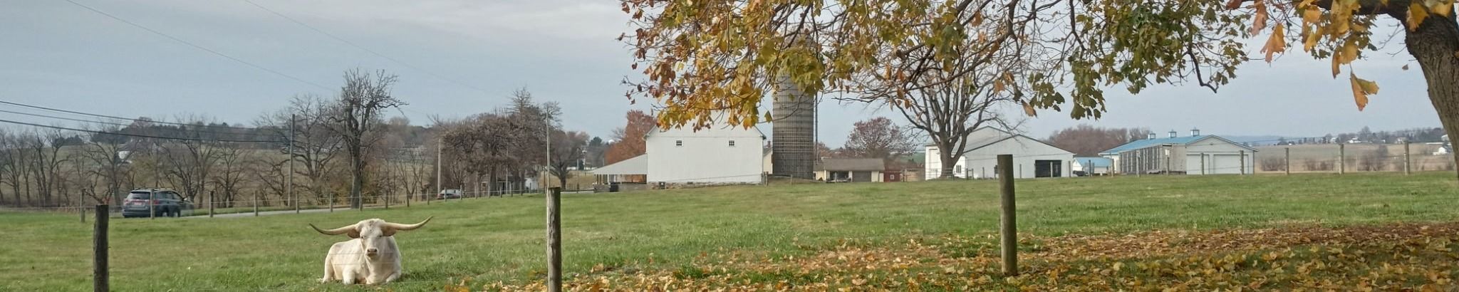 Cover for Rufus Z. Nolt, Jr.'s Obituary