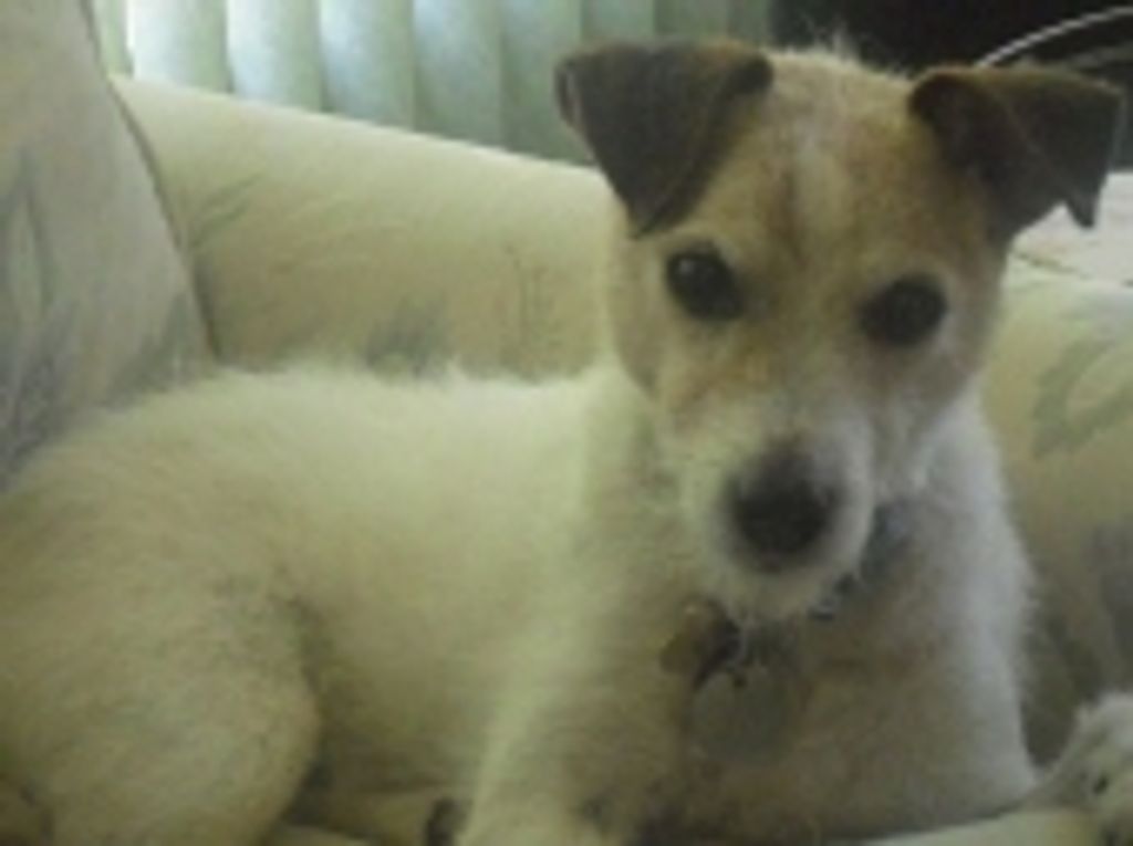 Charlie Kell Profile Photo