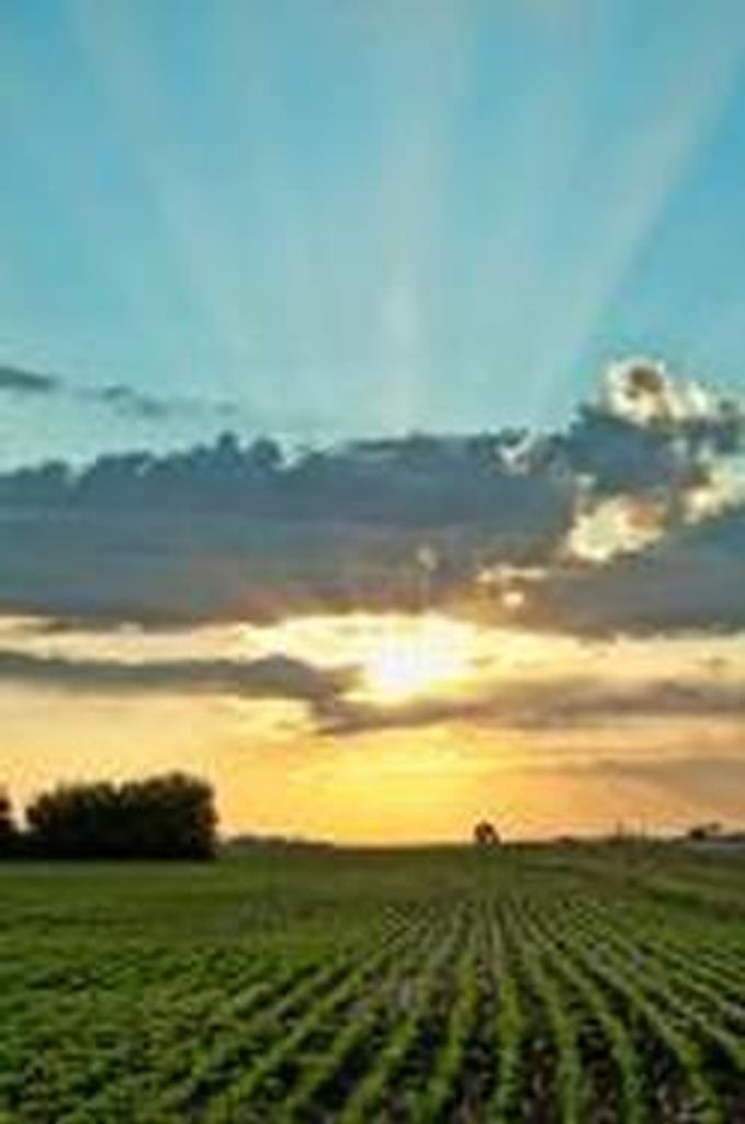 Joseph F. Bukosky, Jr. Profile Photo