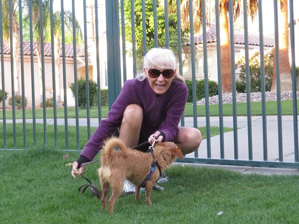 Shirley Ann Stephenson