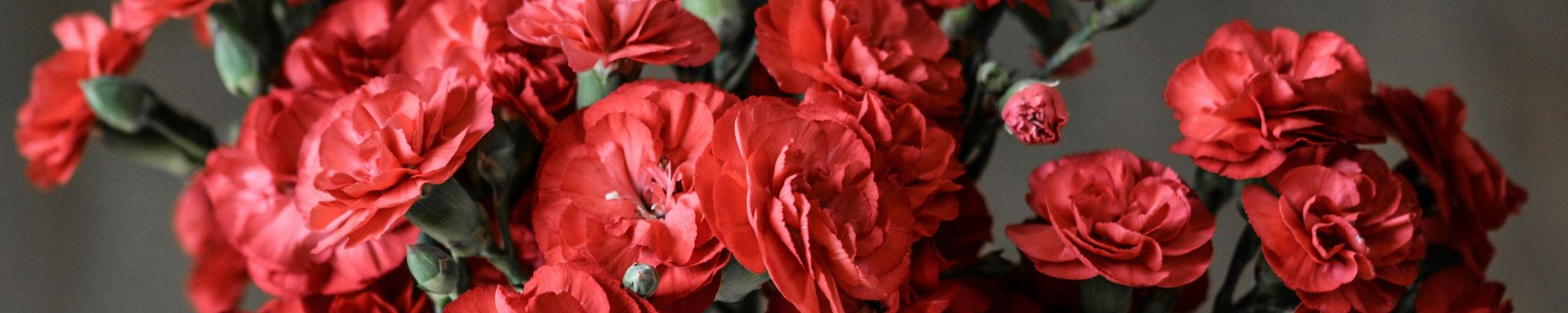 Cover for Judy Wineland's Obituary