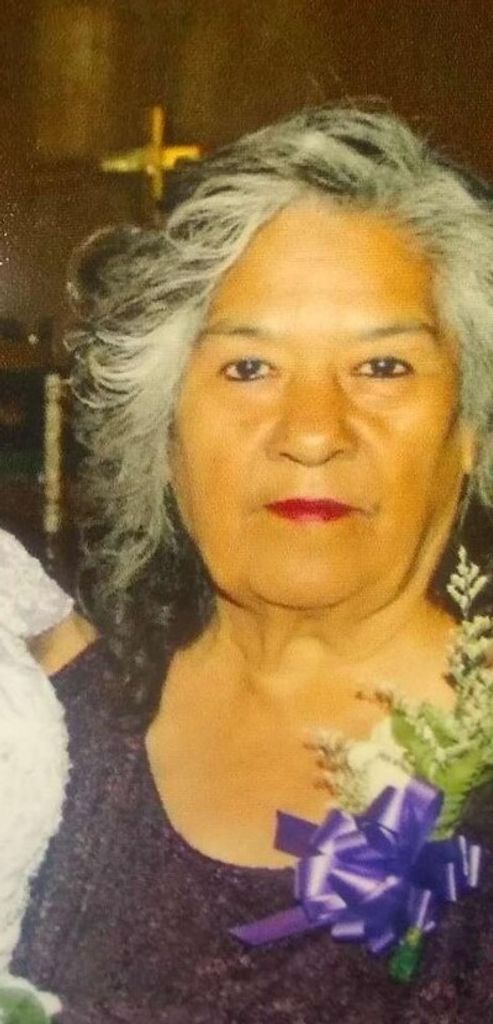 Teresa Perez Profile Photo