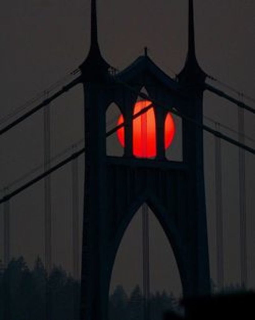 Francesca Louise Walker