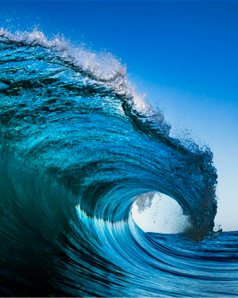 Thomas Scott "Scotty" Webb Jr. Profile Photo