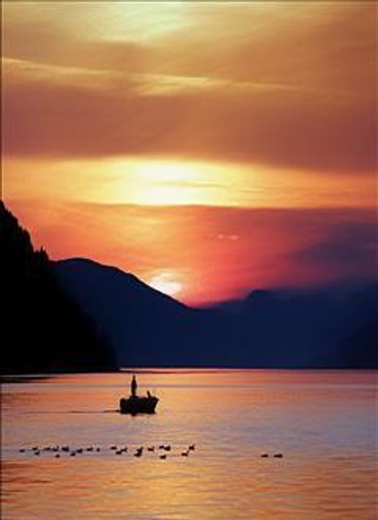 Jeffrey Lewis Patton