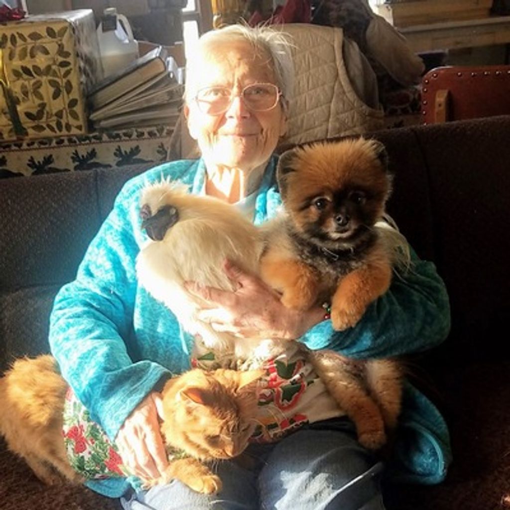 Virginia "Ginny" Baldwin