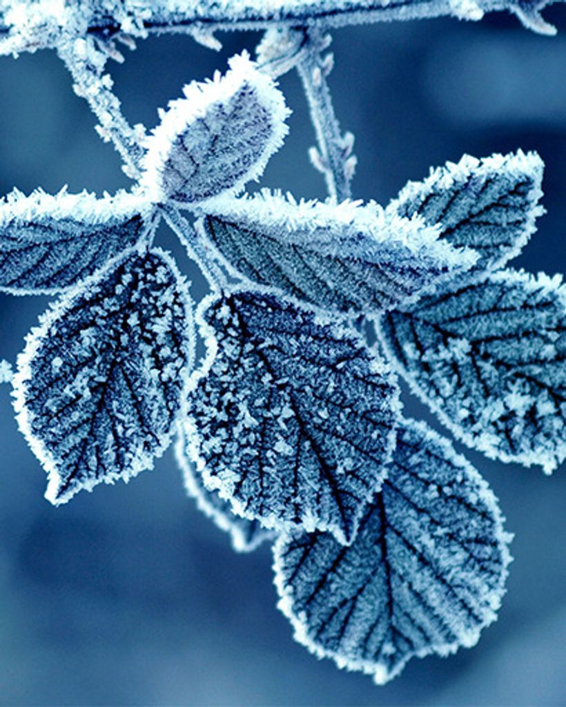 Jake Hash Profile Photo