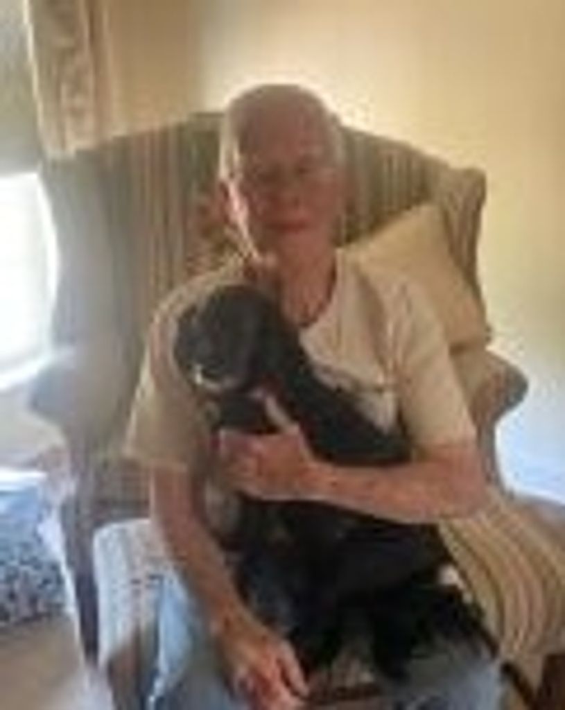 David J Weyer Profile Photo