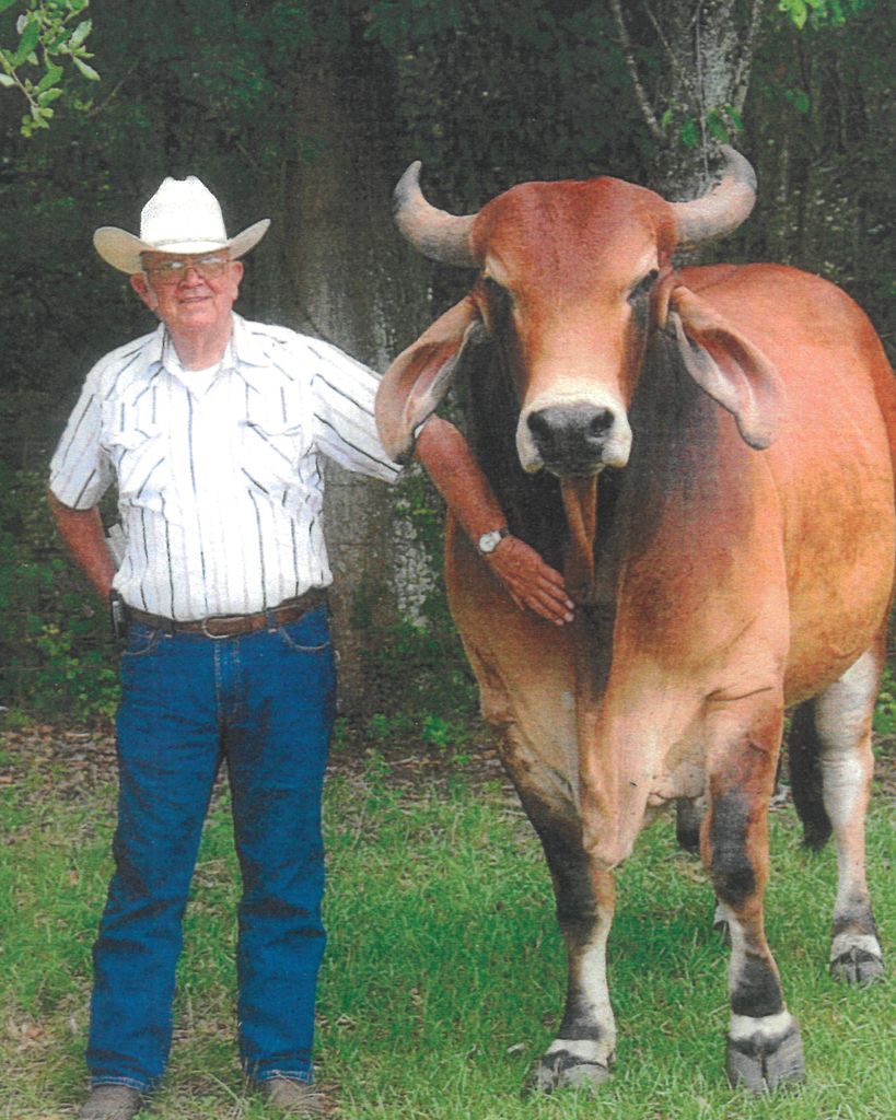 David W. Dillard