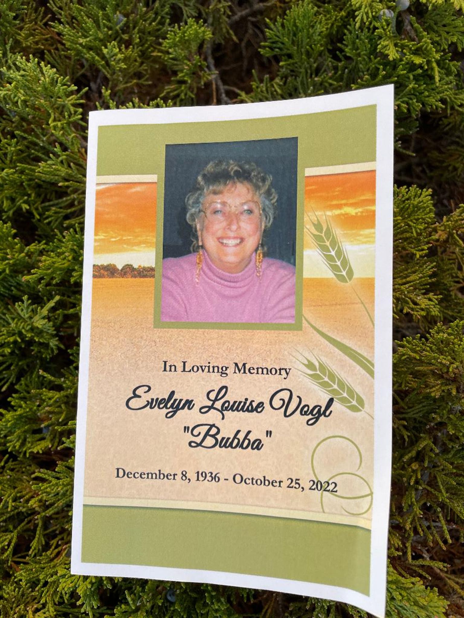 Evelyn Louise Vogl photo gallery image 1 of 64