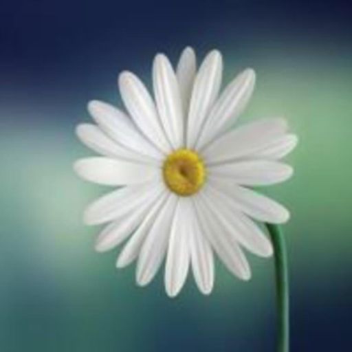 Joyce Biondo Profile Photo