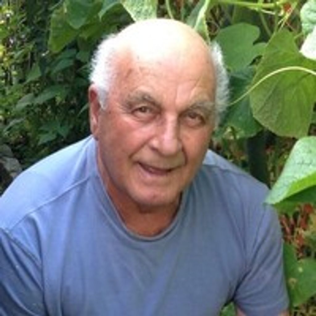 Giuseppe Zoccali Profile Photo