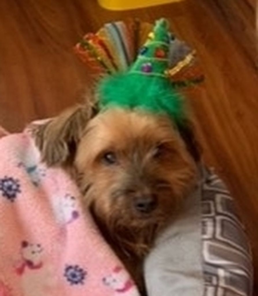 Hank Saunders Profile Photo