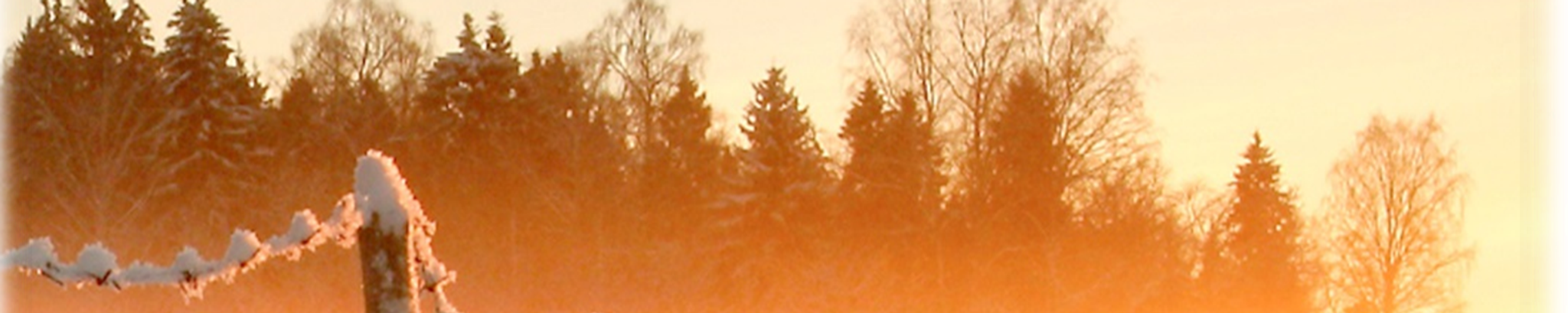 Cover for Jeremy Erdmann's Obituary