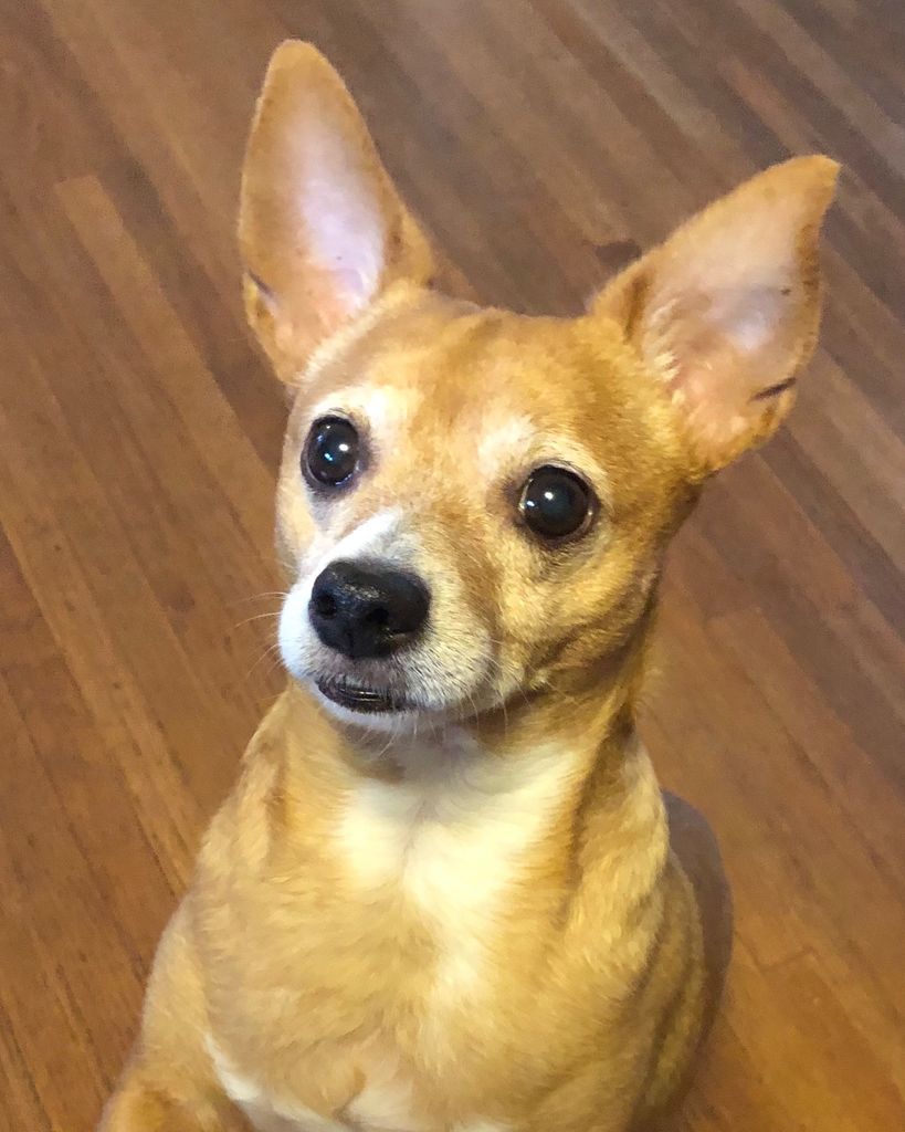 Scotty Walter Hearnsberger Profile Photo