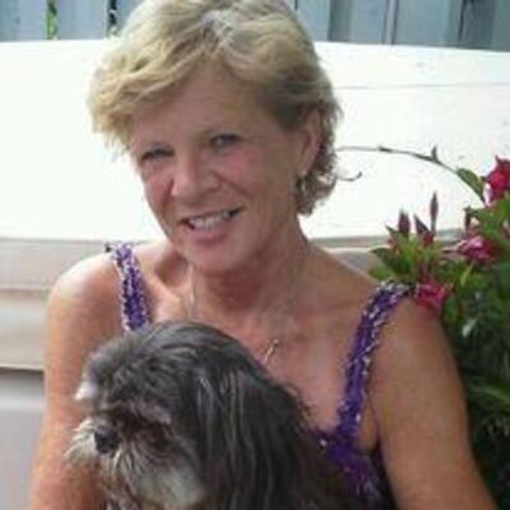 Sue Ann Cotter Profile Photo