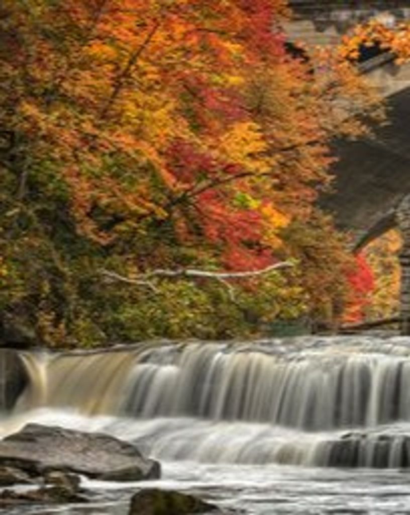 Tau John Camping Profile Photo